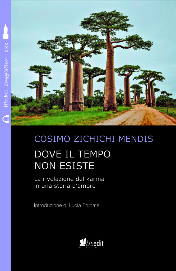 Dove il tempo non esiste: amore e karma, vite precedenti e formazione in regressioni - book on karmic love & past lives